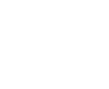 icon-1745838519